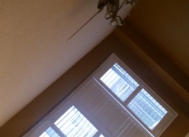livingroom (7)