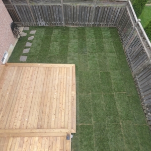 Deck Reno Project