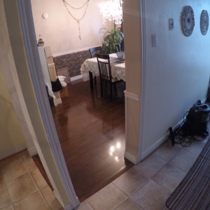 ParkEdenEve (103)