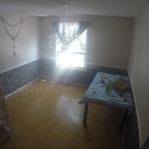 ParkEdenEve (17)
