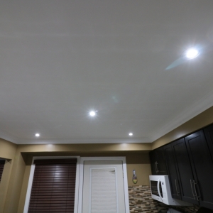 ScribeRenoProject (36)