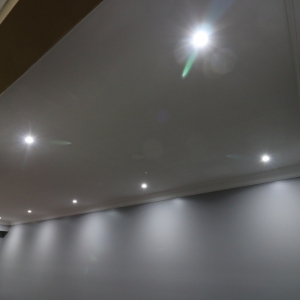 ScribeRenoProject (37)