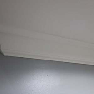 ScribeRenoProject (45)