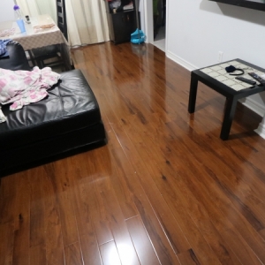 Shyju Project (13)