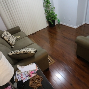 Shyju Project (4)