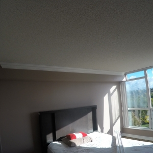 TreeRounc (68)