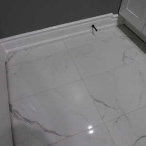 Vanda Reno Project